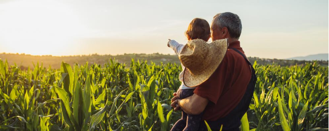 Farmer and boy overlooking crops