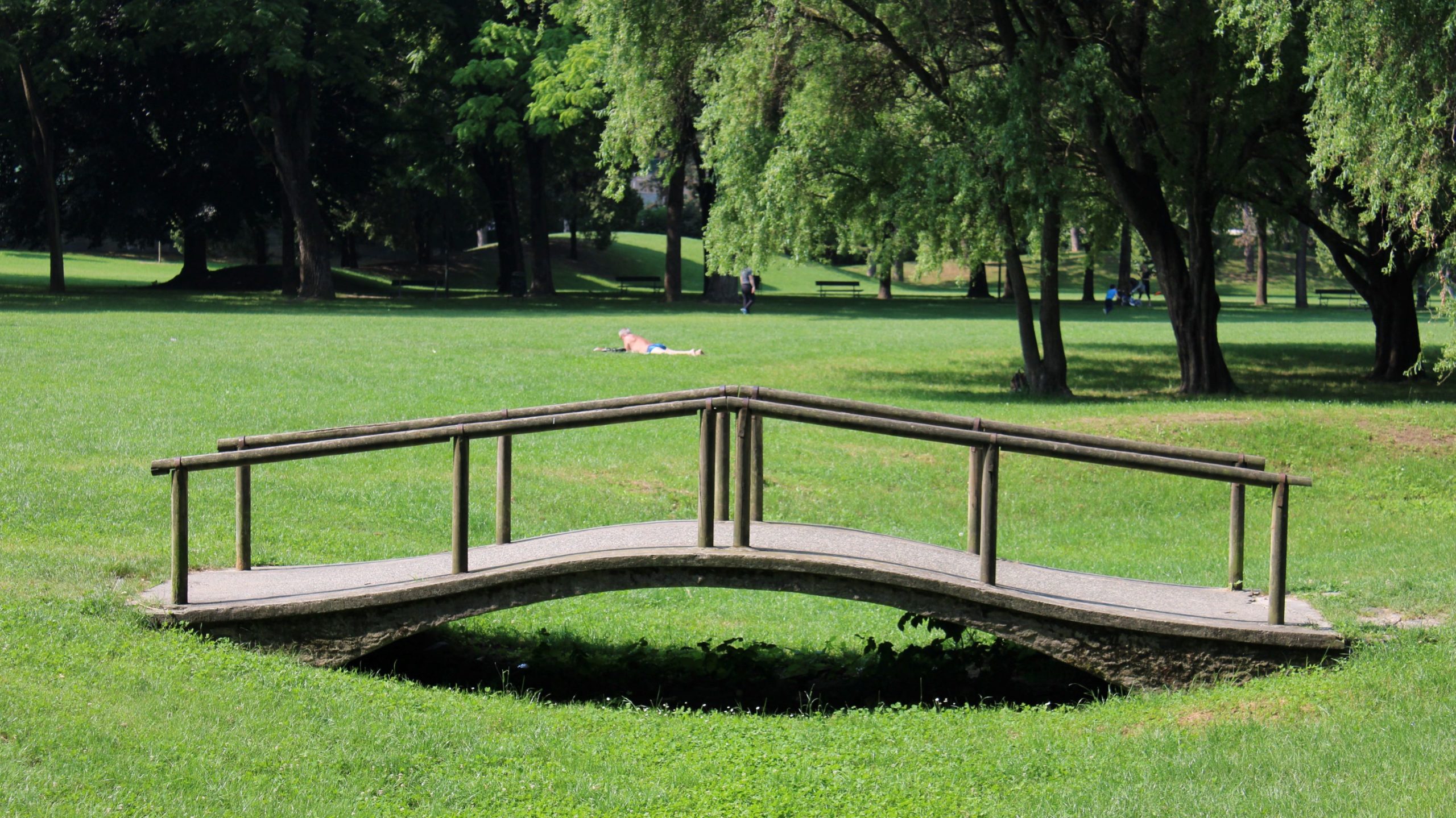 wooden bridge over a low spot on a lawn