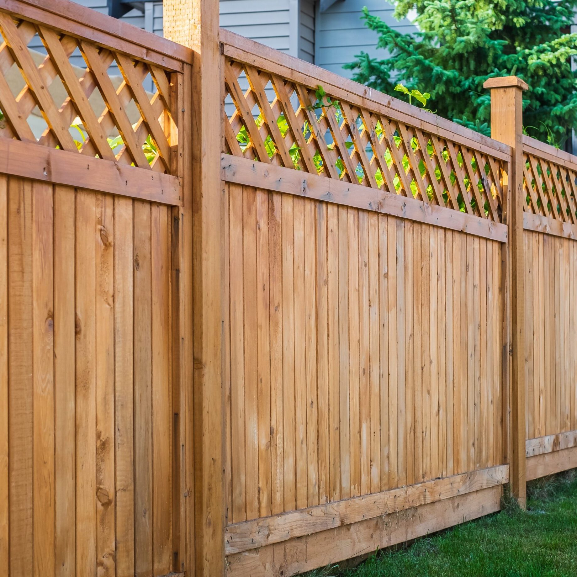 Nice wooden fence around house. Wooden fence with green lawn. Street photo, nobody, selective focus
