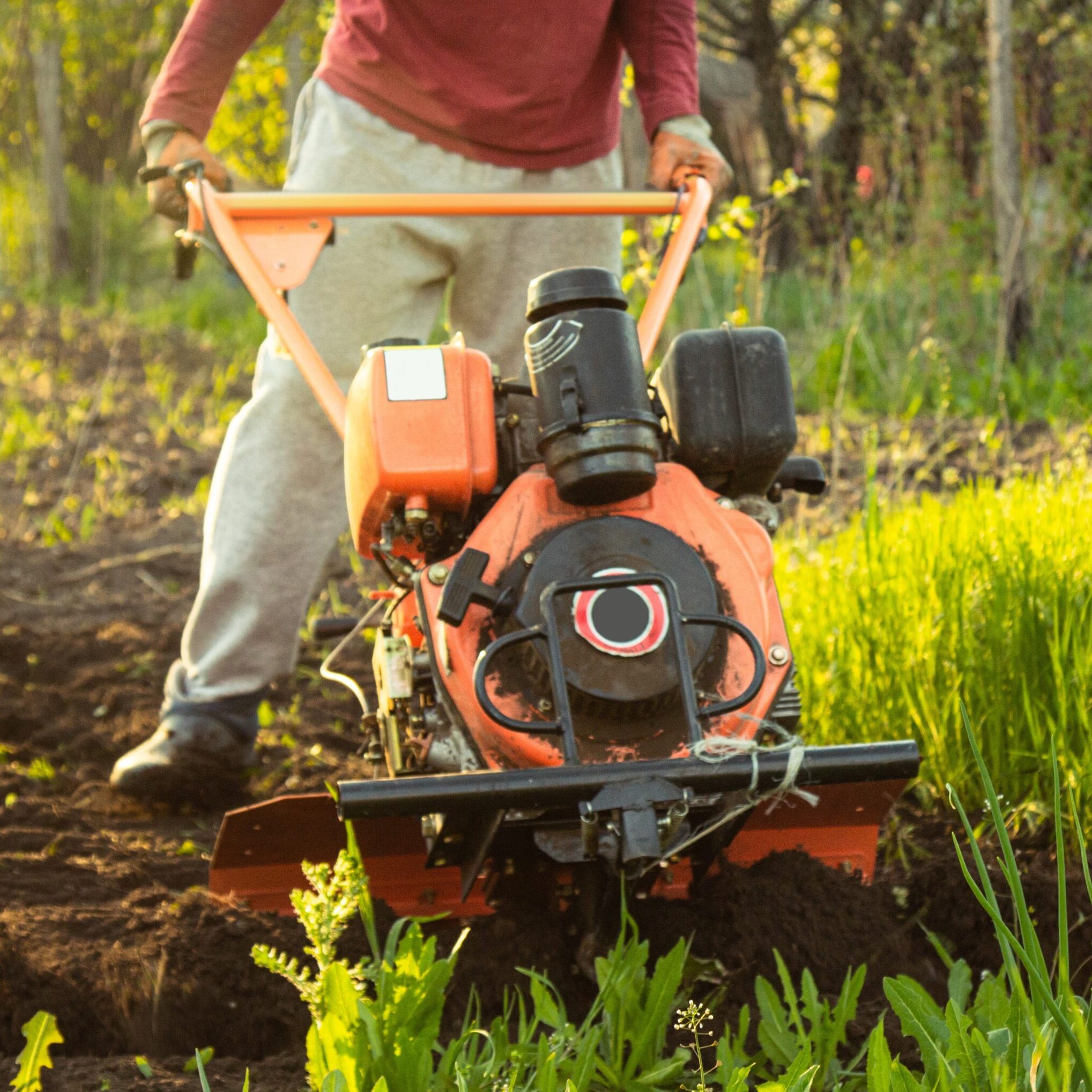a small agricultural tractor plows the ground, the work of a walk-behind tractor. land treatment for planting.